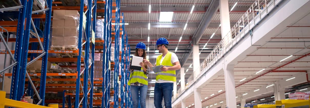 SAP ERP Wholesale and Distribution