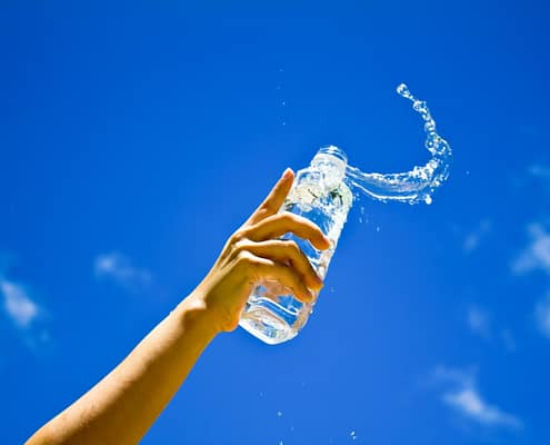 SAP ERP Food and Beverages